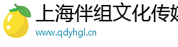 上海伴组文化传媒